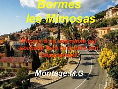 183 D23 BORMES LES MIMOSAS 1_000001